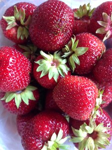 Strawberry fruit fresh photo