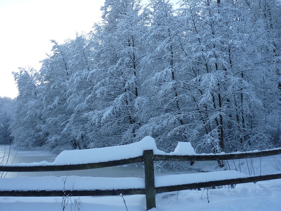 Lake ice fence