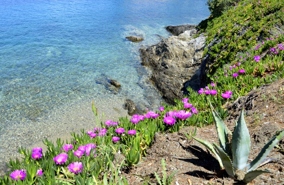 The aegean sea holiday summer