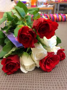 Ros flower red flower