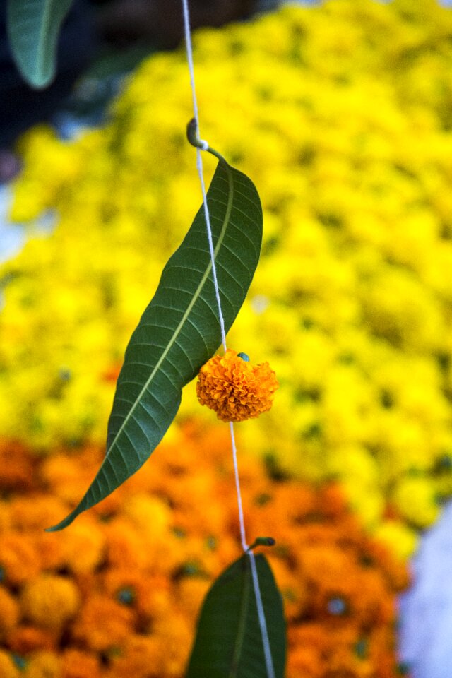 Pooja floral decoration