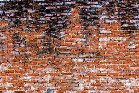 Red brick brick wall wall photo