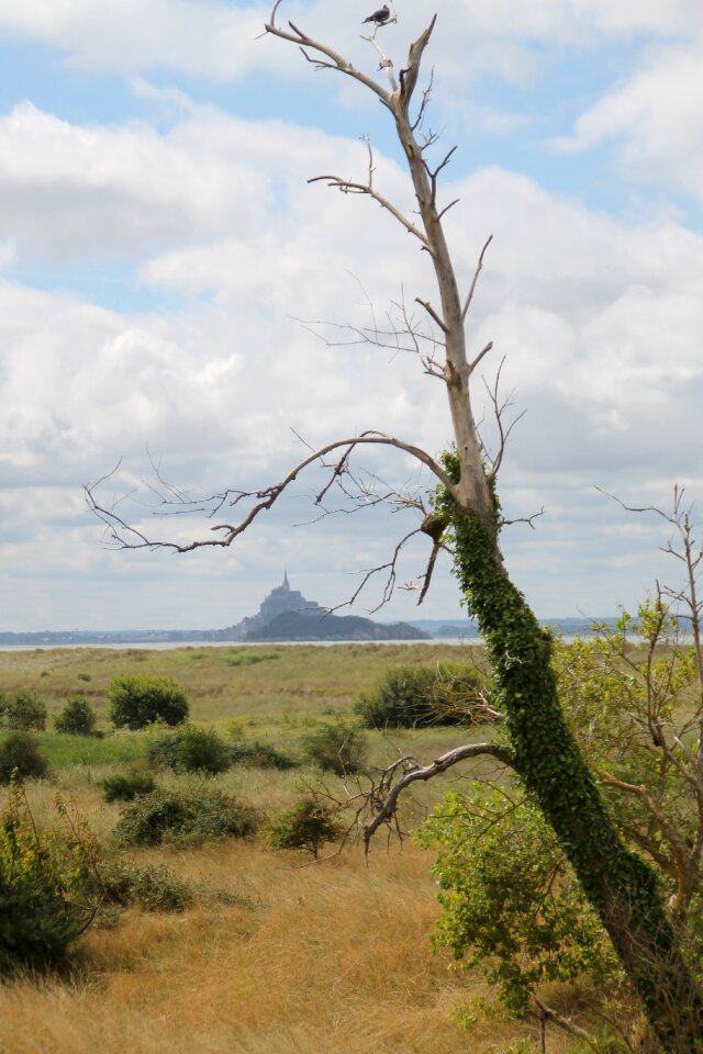 Mont saint michel sea coast