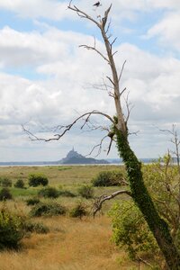 Mont saint michel sea coast