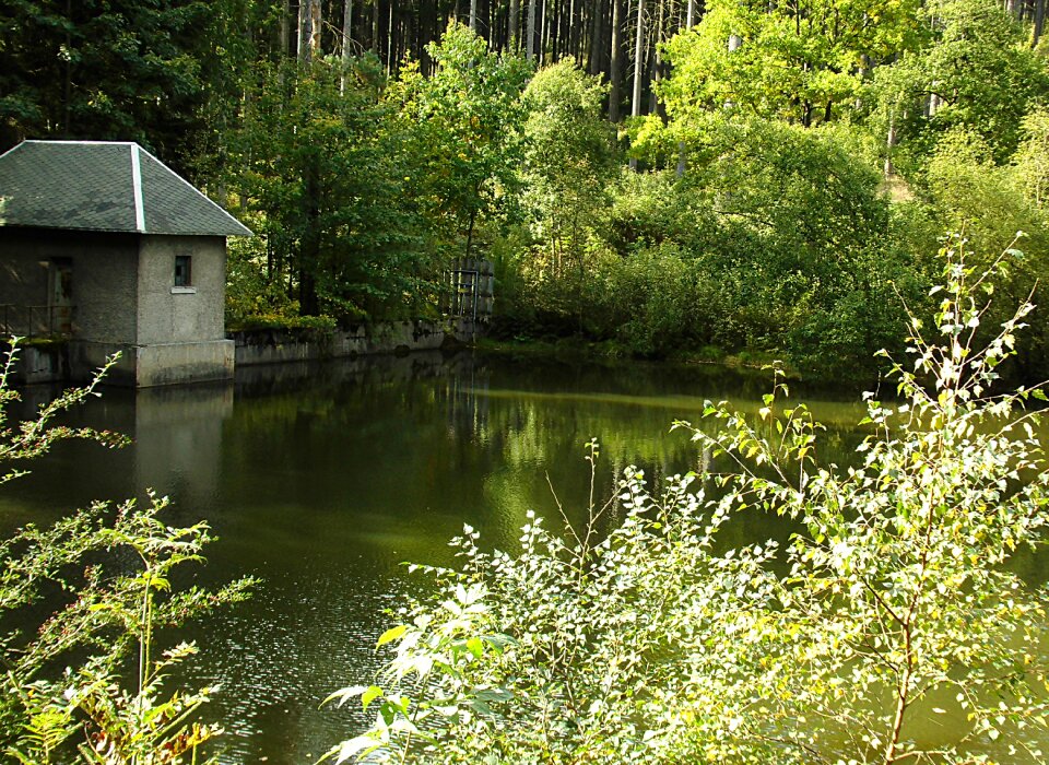 Water drinking water landscape