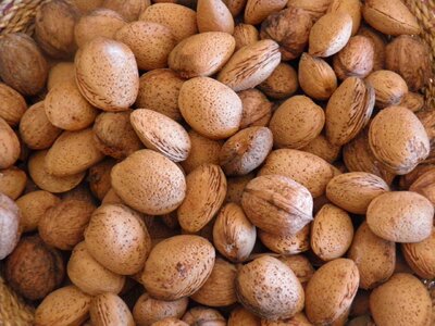 Food healthy diet
