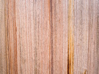 Texture wall wood