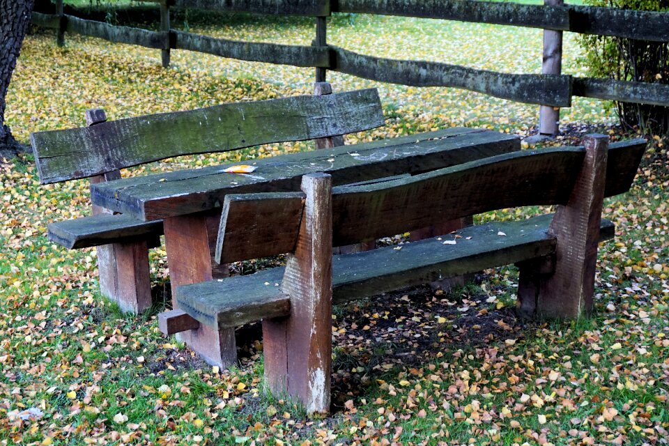 Autumn fall leaves table