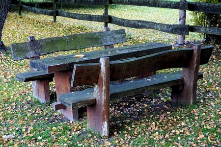 Autumn fall leaves table