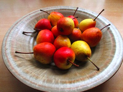 Still life late summer colorful