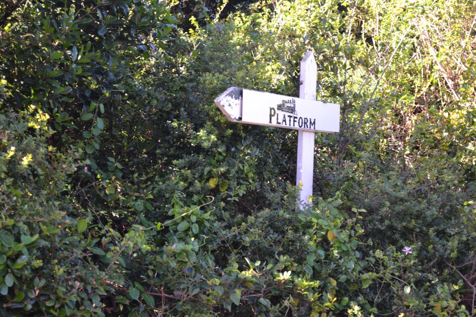 Bushes platform direction