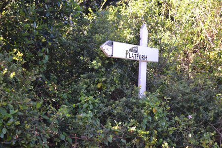 Bushes platform direction