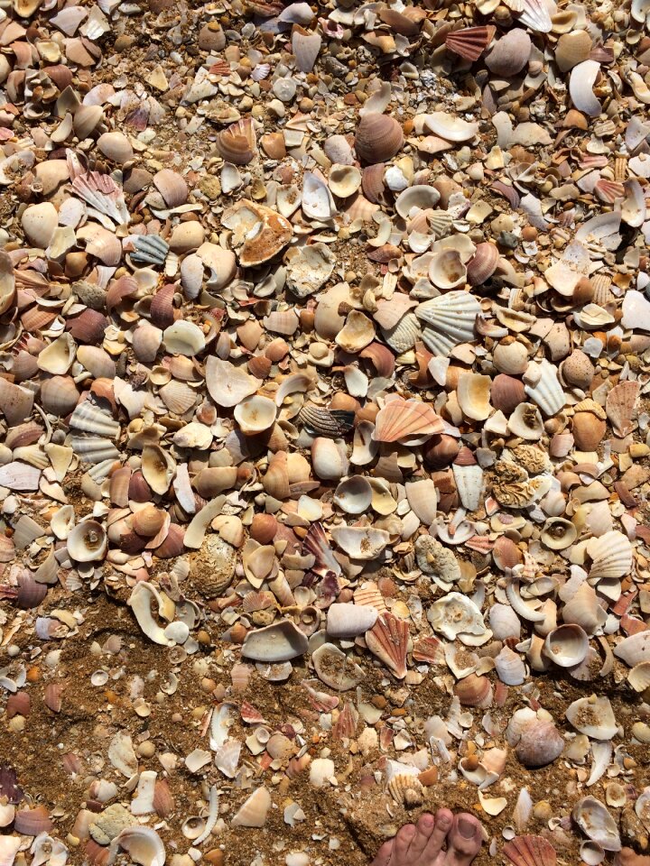 Stones vacations nature