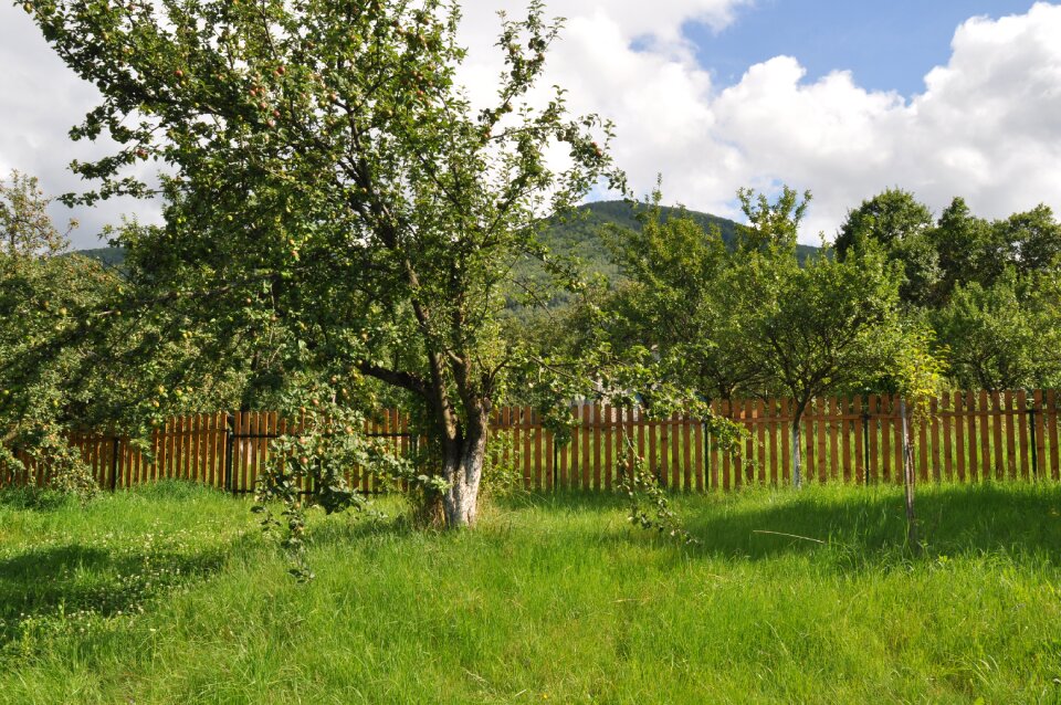 Ochard fence spring