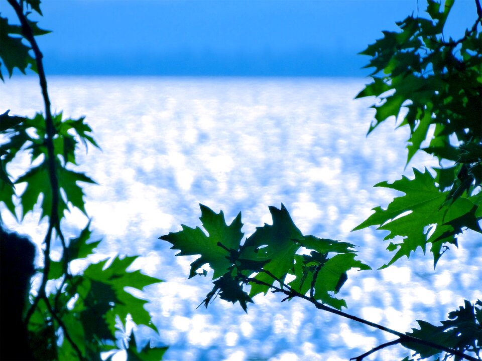 Agrinio season natural