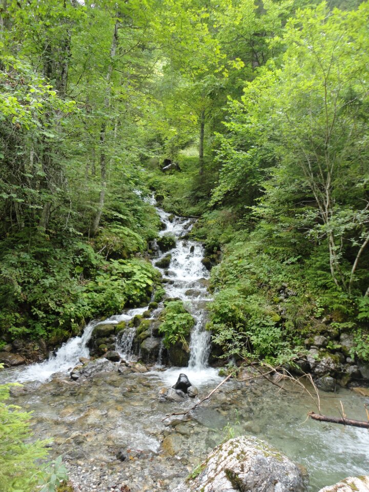 Water nature austria