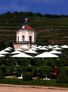 Vineyard schloss wackerbarth radebeul