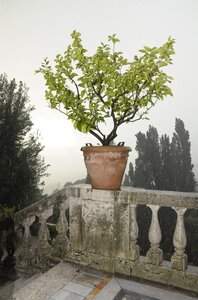 Castle garden water