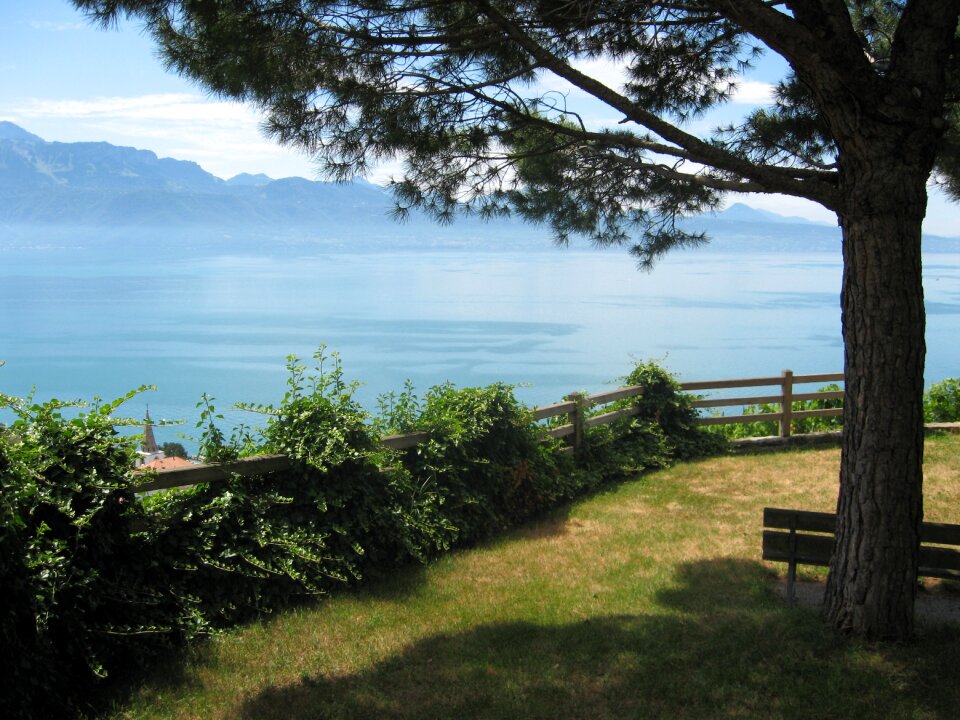 Lavaux lake geneva cornice photo