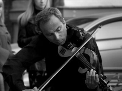 Musician violin musicain