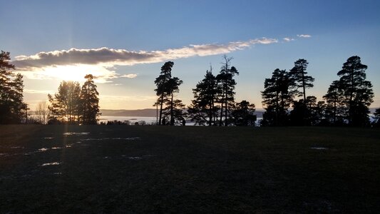 Landscape trees silhouette
