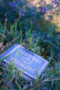 Reading book summer spring photo