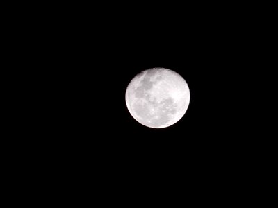 Full moon night sky