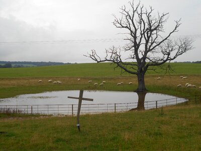 Countryside field water