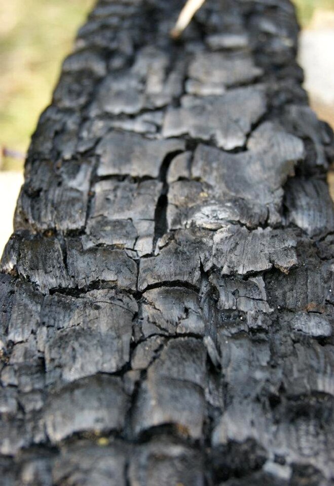 Detail wood structure structure