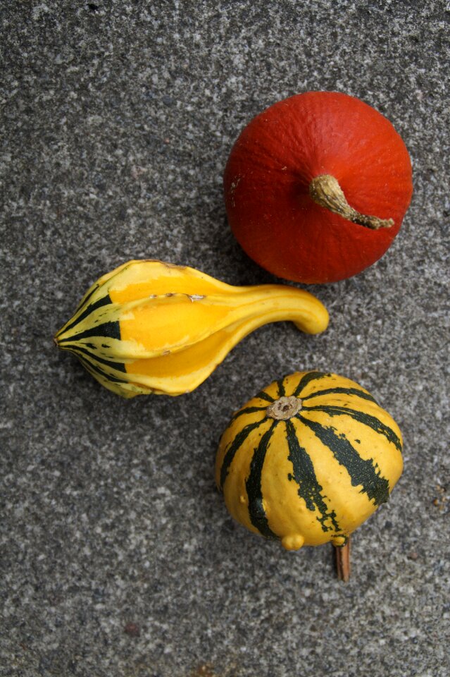 Autumn thanksgiving decoration