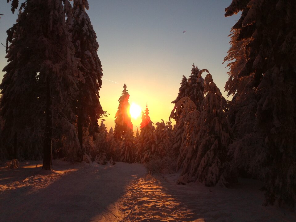 Wintry sunset snow