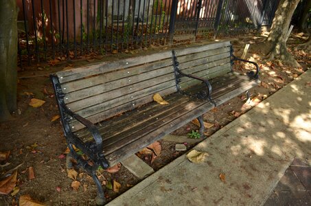 Puerto rico park pigeons bank