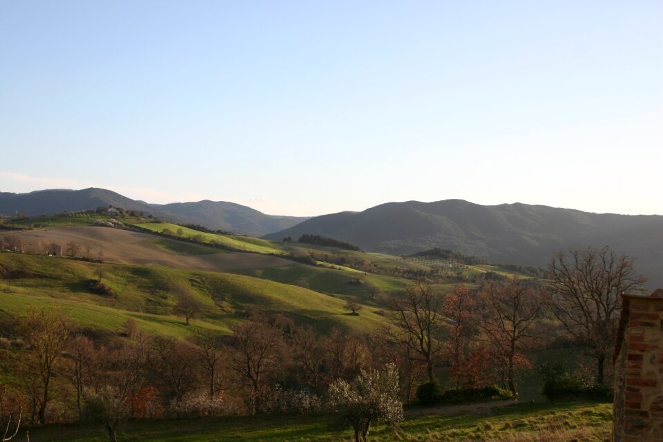 Cypress on to tuscany outlook