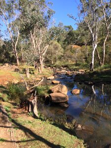 Nature scenic landscape