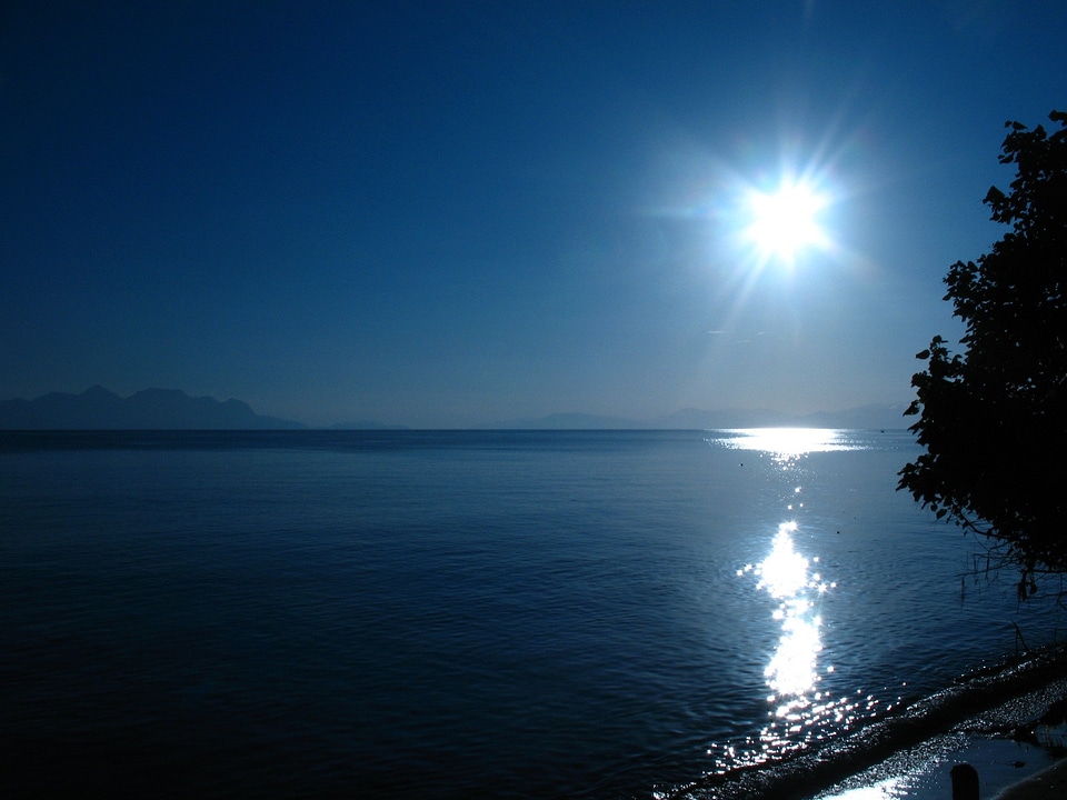 Sunshine shiny shines