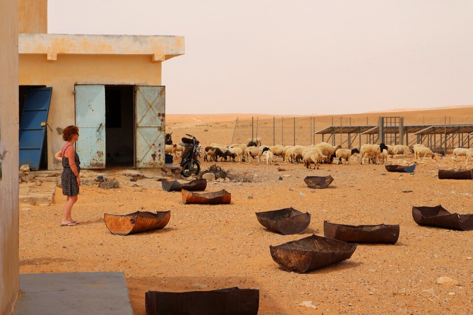 Tunisia sahara near the libyan border