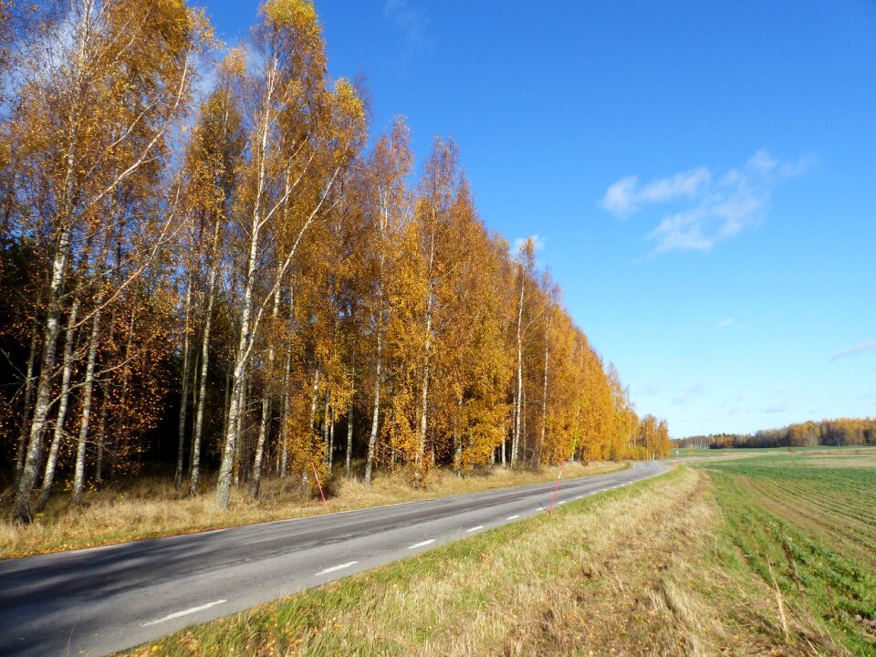 Sky cloud road photo