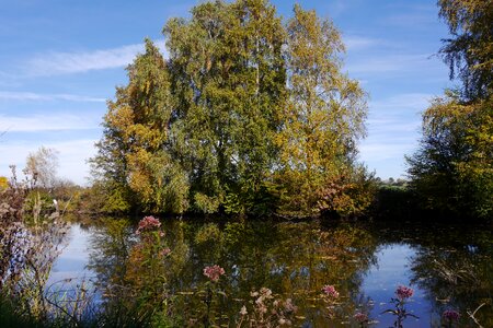 Water pond autumn photo