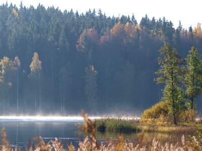Sweden autumn lake