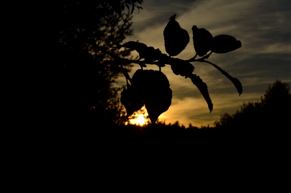 Sun heaven nature