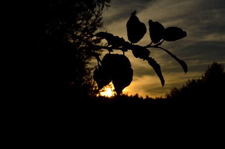 Sun heaven nature