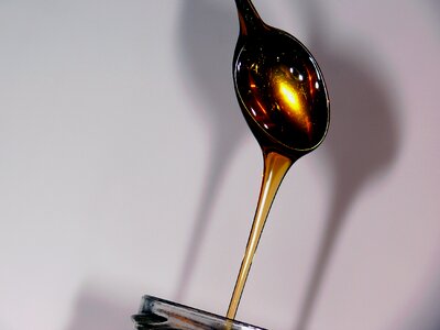 Nectar honey dipper honey jar photo