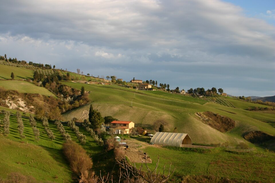 Cypress on to tuscany outlook