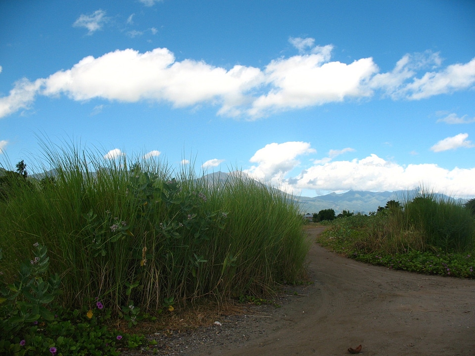 Mountain grass landscape