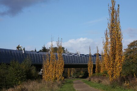 Away autumn ring road