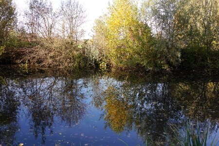 Pond autumn water reflection photo