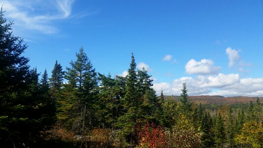 Minnesota landscape lake photo