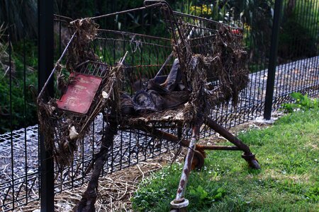 Rust broken shopping trolley photo