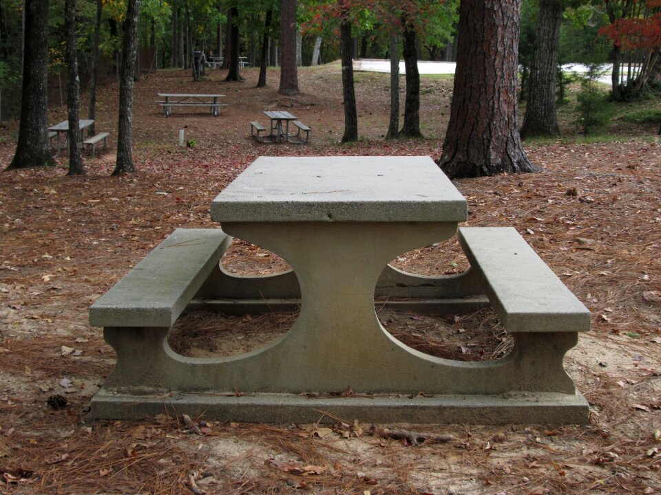 Picnic nature landscape
