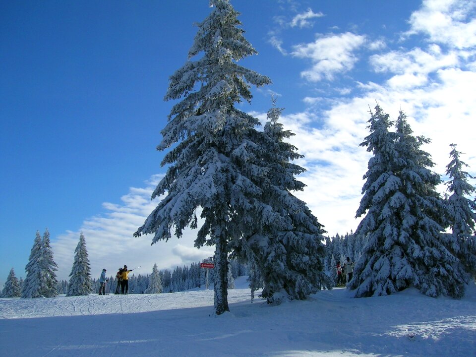 Germany cold landscape